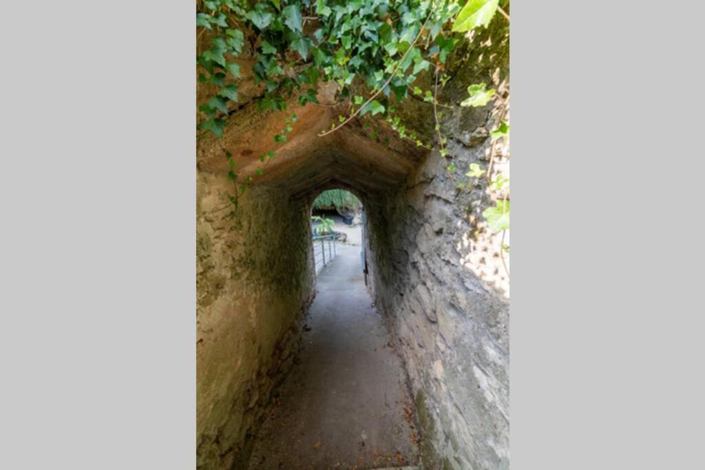 Maison Troglodytique Doue La Fontaine Exterior photo